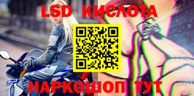 гидра Ярцево
