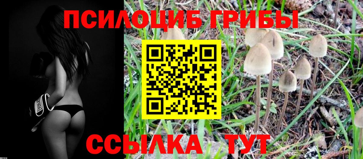 Псилоцибиновые грибы MAGIC MUSHROOMS  Вход с VPN  Галлюциногенные грибы Cubensis  Воскресенск 