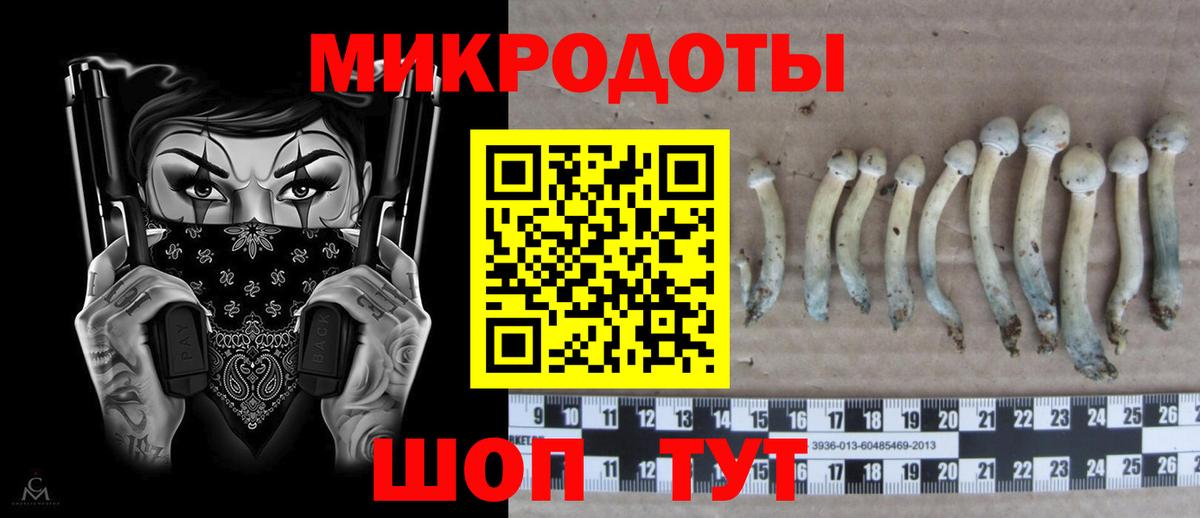 Псилоцибиновые грибы Psilocybe Воскресенск